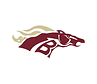 Brookwood High School Football logo
